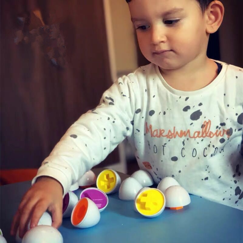 Montessori 6pce Smart Eggs 3D Puzzle